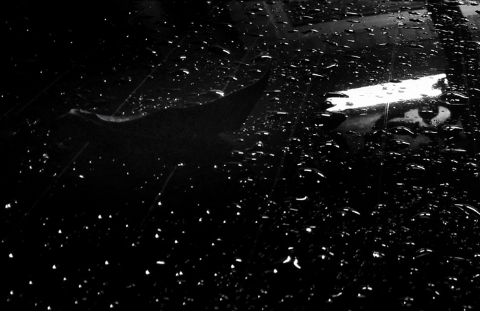 Phantom Boat